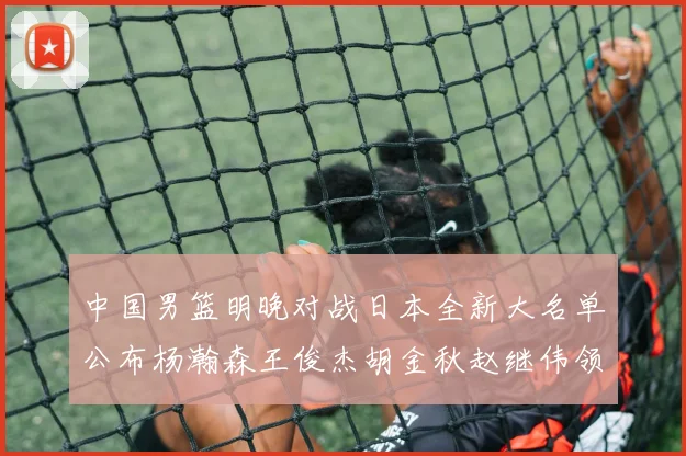 中国男篮明晚对战日本全新大名单公布杨瀚森王俊杰胡金秋赵继伟领衔出战