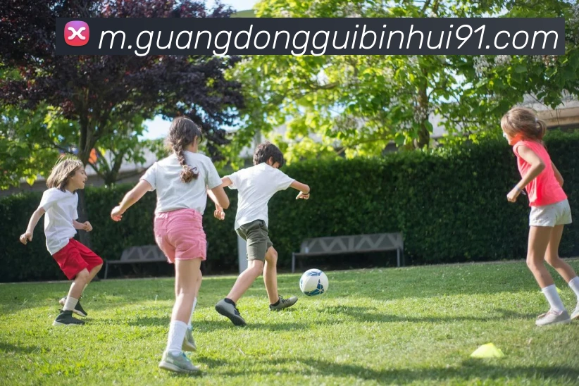 未来规划